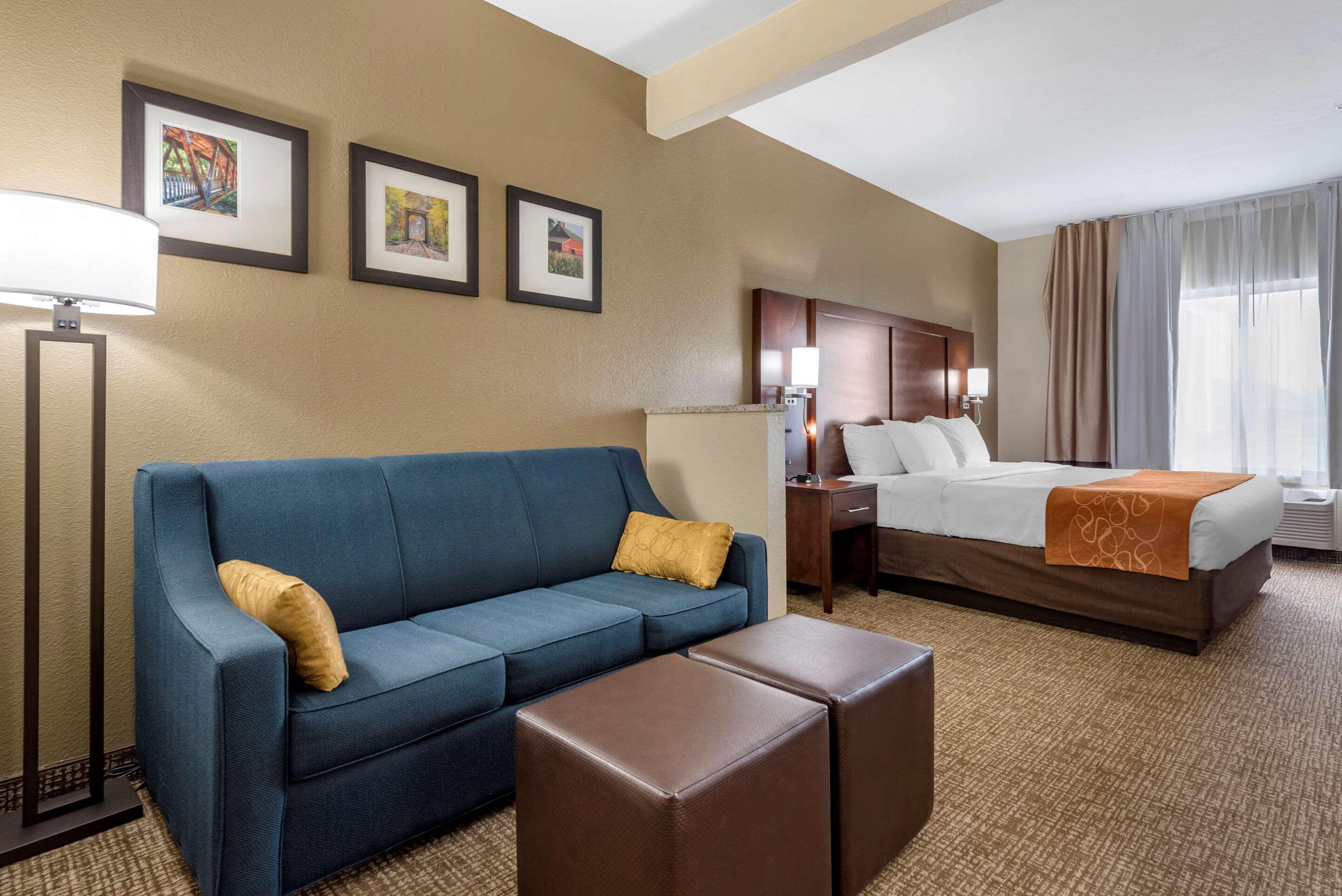 Comfort Suites Auburn Near I-69 Exterior foto